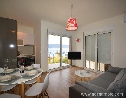 Apartments Novi -Villa Kumbor, , private accommodation in city Kumbor, Montenegro - DSC_0009